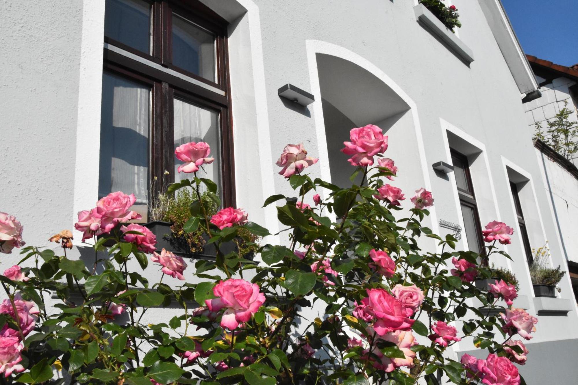 Reisekultouren Apartment Detmold